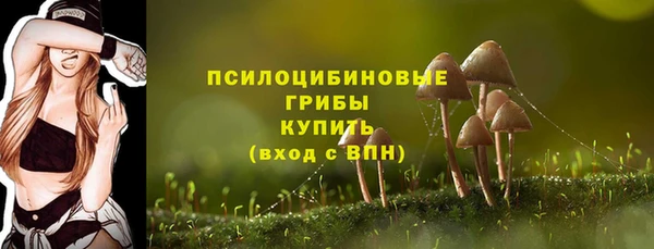 гидра Алзамай