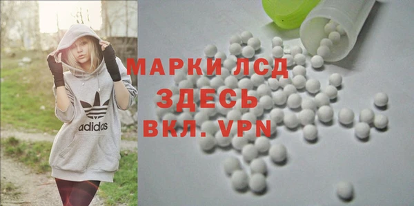 гидра Алексин