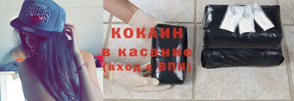 гидра Алексин