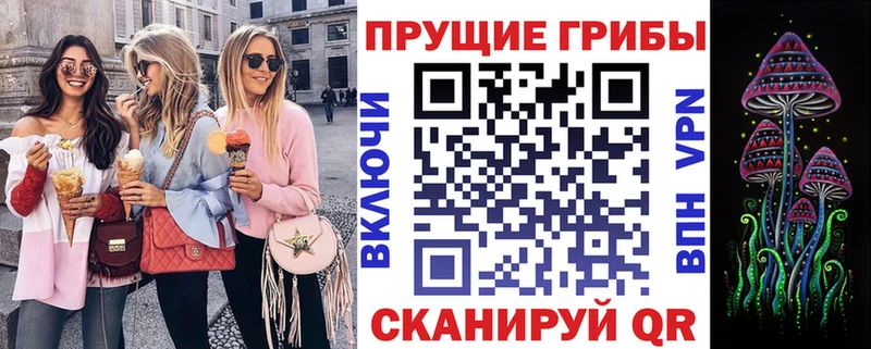 Псилоцибиновые грибы MAGIC MUSHROOMS  закладки  Ардатов 
