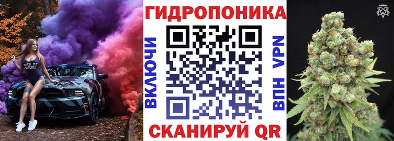 Шишки марихуана марихуана  Ардатов 